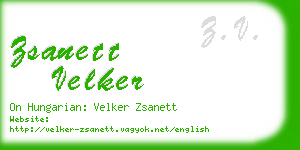 zsanett velker business card